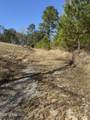 1252 Lake View Drive - Photo 4