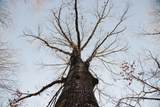  County Road 70 - Photo 19