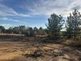 15 Acres Parker Road - Photo 3