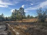 15 Acres Parker Road - Photo 5
