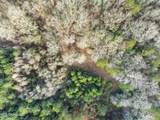 14.75 Acres Highway 11 - Photo 10