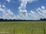  Cane Creek Road - Photo 2