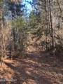  Furrs Mill Drive - Photo 7