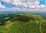 Nhn Lot 13 Bethel Road - Photo 14