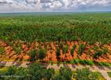 Nhn Lot 13 Bethel Road - Photo 29