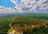 Nhn Lot 13 Bethel Road - Photo 44