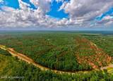 Nhn Lot 7 Ramsey Road - Photo 22