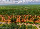 Nhn Lot 7 Ramsey Road - Photo 28