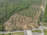 Nhn Ramsey Road - Photo 3