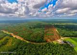 Nhn Lot 7 Ramsey Road - Photo 43