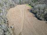 11311 Port Hudson-Pride Road - Photo 12