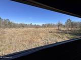 11311 Port Hudson-Pride Road - Photo 32