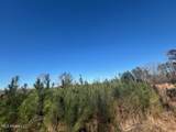  Robert Jones Road - Photo 10