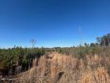  Robert Jones Road - Photo 6