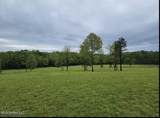 12239 Old Byhalia Road - Photo 11