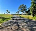 12239 Old Byhalia Road - Photo 2