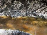 38 Ac +/- Indian Hill Road - Photo 17