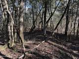 38 Ac +/- Indian Hill Road - Photo 23