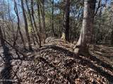 38 Ac +/- Indian Hill Road - Photo 9