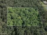 Lot 2 (3.86 Acres) Beverly Hills Drive - Photo 2