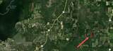 0000 Holly Bush Road - Photo 4