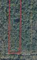 0000 Holly Bush Road - Photo 7