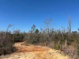  Sawmill Road - Photo 37