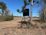  Sawmill Road - Photo 41