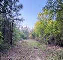 0 Darron Hodge Lane - Photo 8