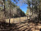 307 Willis Road - Photo 2