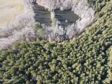 307 Willis Road - Photo 22