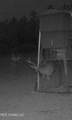 307 Willis Road - Photo 33