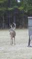 307 Willis Road - Photo 35