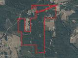307 Willis Road - Photo 37