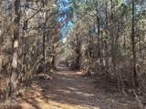 307 Willis Road - Photo 6