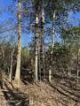 307 Willis Road - Photo 8
