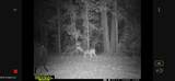 0 Morton-Rankin County Line Road - Photo 1