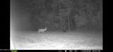 0 Morton-Rankin County Line Road - Photo 2
