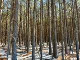  Long Lonesome Road - Photo 29