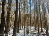  Long Lonesome Road - Photo 31