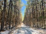  Long Lonesome Road - Photo 32
