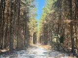  Long Lonesome Road - Photo 33