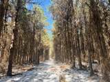  Long Lonesome Road - Photo 34