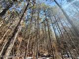  Long Lonesome Road - Photo 36