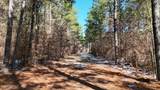  Long Lonesome Road - Photo 4