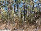  Long Lonesome Road - Photo 40