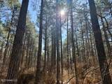  Long Lonesome Road - Photo 41