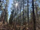  Long Lonesome Road - Photo 43