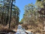  Long Lonesome Road - Photo 44
