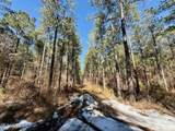  Long Lonesome Road - Photo 46